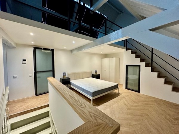 IMG_1262 2 Medium.jpeg